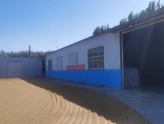 晾曬場(chǎng)地